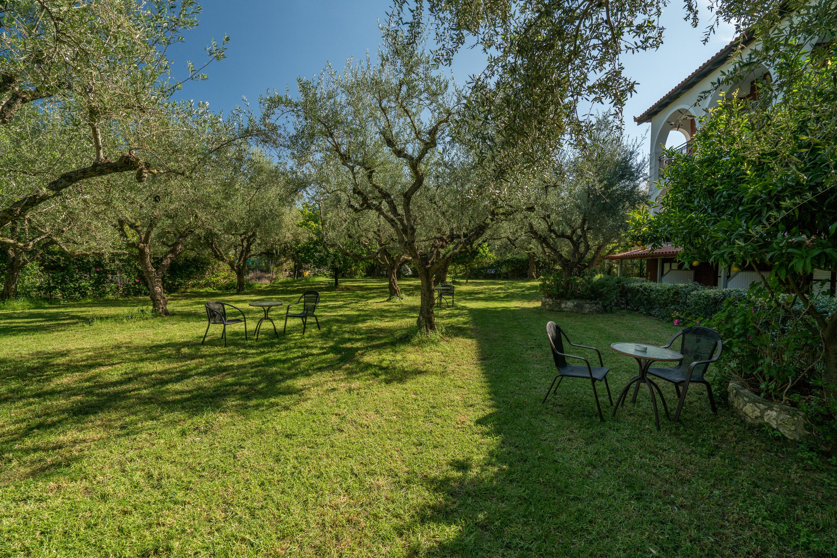 Castelli Hotel-Adults Only Лаганас Екстериор снимка